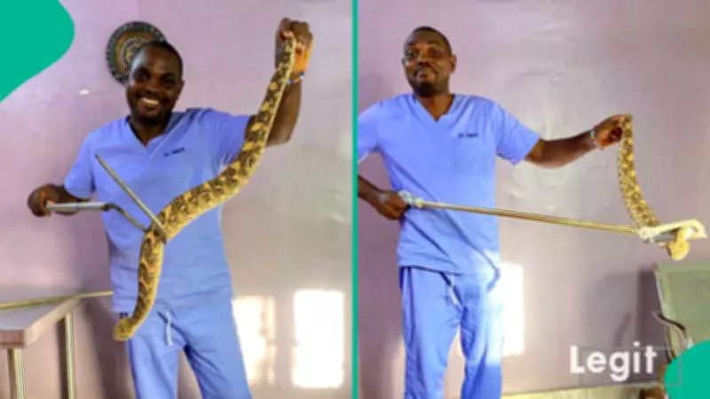 Snake Expert Dr Mark Ofua Reveals Key Factors That Attract Snakes to Nigerian Homes