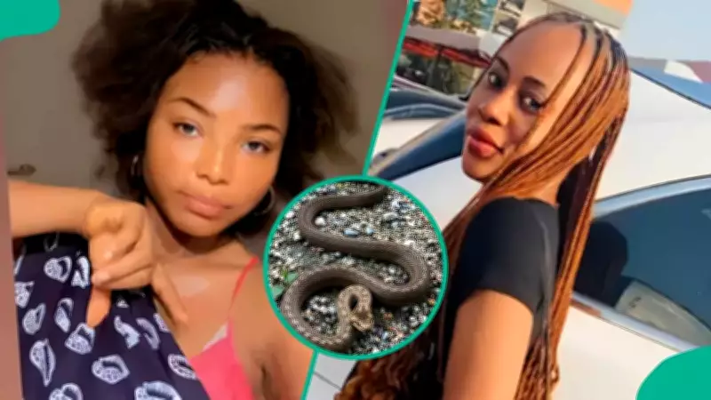 Three Nigerians Share Survival Stories After Snakebites Without Anti-venom