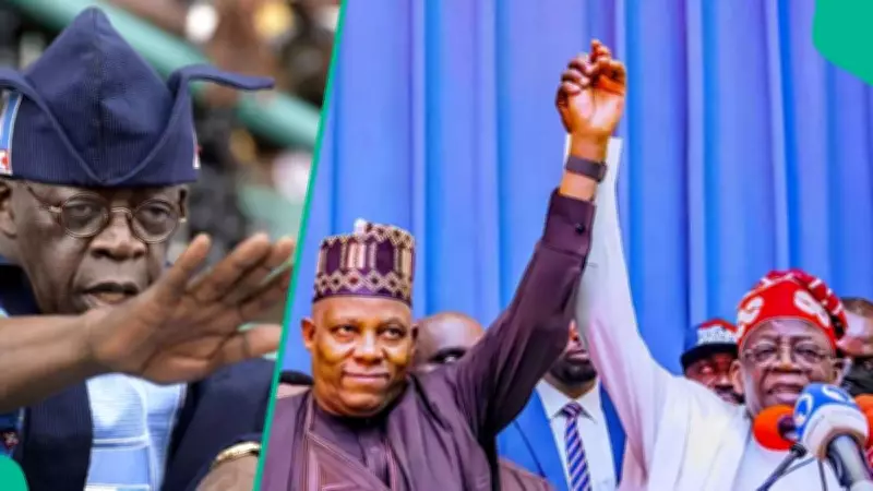 Tinubu Praises Shettima as 'Good Partner' Amid 2027 Running Mate Speculation