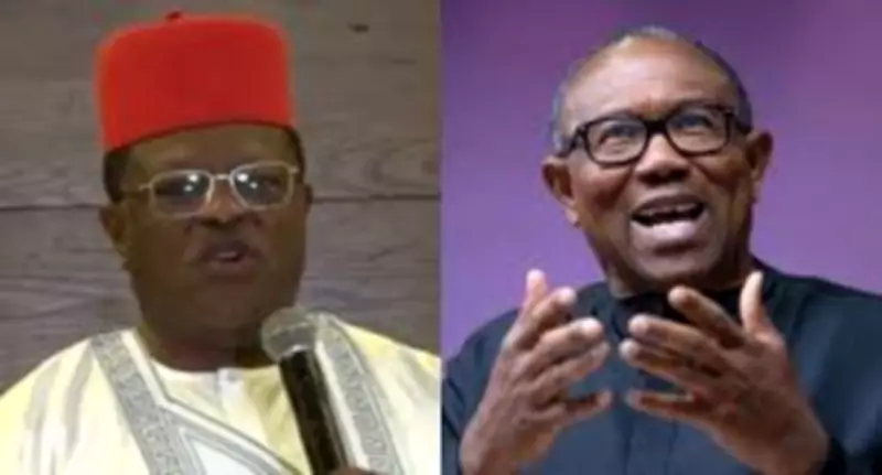 Umahi Urges Igbos to Tell Peter Obi: 'It's Not Our Turn for President'