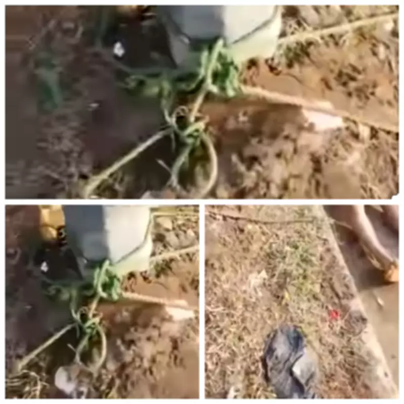 Unidentified Man Found Dead, Tied to Pole in Ekiti State Capital