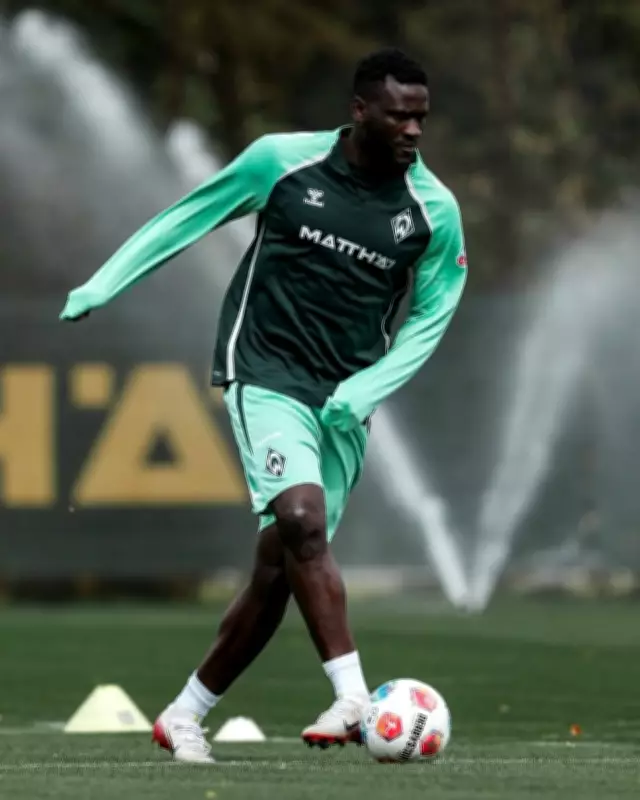 Werder Bremen Chief Confirms Victor Boniface Out for Season After Knee Surgery