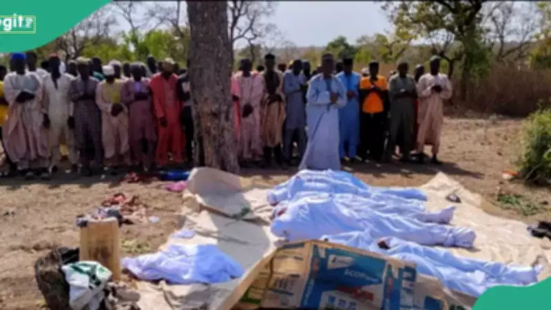Zamfara Bandit Attack: 50 Killed, Women and Children Abducted in Tungan Dutse Raid