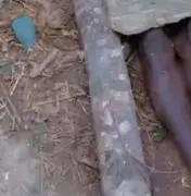 Bayelsa Police Arrest Five Suspects Over Murder of Man Accused of Rape