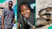 Brother Shares Ifunanya's Final Video, Accuses Hospital of Negligence in Snake Bite Death