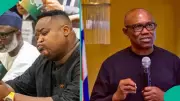 Cubana Chiefpriest Declares Opposition to Peter Obi in 2027 Election