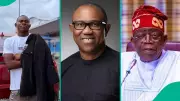 Geh Geh: Peter Obi Has 'Zero Chance' Against Tinubu in Free Election