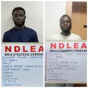 NDLEA Foils Drug Lord's Cocaine Export Plot from Ikoyi Prison to UK