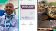 Nigerian Doctor Laments Exorbitant Cost of Snake Antivenom, Sparks National Debate