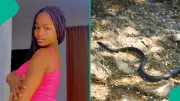 Nigerian Lady Recounts Surviving Snakebite with Traditional Herbal Treatment