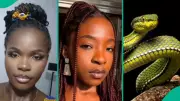 Nigerian Lady Reveals Cobra Snake Killed Singer Ifunanya Nwangene in Viral Tribute