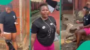 Nigerian Lady's Hilarious Street Goat Feeding Video Goes Viral, Mimics Zanzibar Trend