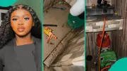 Nigerian Lady's Viral TikTok Video Shows Messy Apartment Shared With Over 20 Boys
