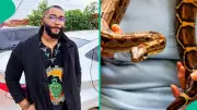 Nigerian Man Claims Black Stone Extracts Venom, Sparks Online Debate