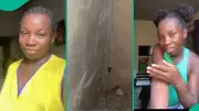 Nigerian Mum Discovers Giant Scorpion While Searching for Snake Holes in Her Compound