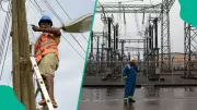 Nigeria's Power Plants Operate at Just 36% Capacity, NERC Data Reveals