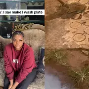 Nollywood Actress Kelly Kosisochukwu Discovers Snake in Kitchen, Shares Shocking Video