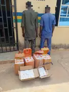 Oyo Police Smash Transnational Ammunition Syndicate, Arrest Two Suspects