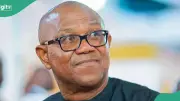 Peter Obi Allegedly Survives Assassination Attempt in Edo State, ADC Leaders Attacked