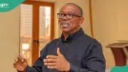 Peter Obi Mourns 162 Killed in Kwara Boko Haram Attack, Calls for War on Insecurity