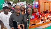 Senate Convenes Emergency Session on Electoral Act Amid Peter Obi-Led Protests