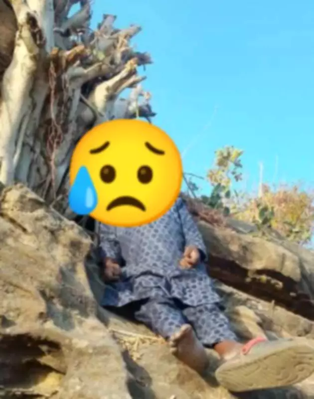 Adamawa Police Probe Unnatural Death as Man Found Hanging on Tree