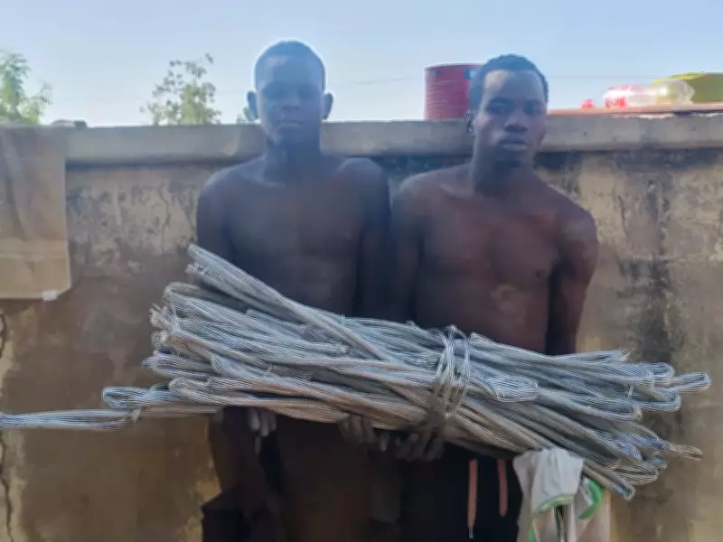 Army Captures Two Boko Haram Informants in Borno State Operation