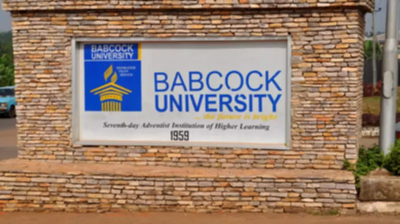Babcock Alumni Advise Graduates: Degrees Alone Won't Open Doors, Skills Are Key