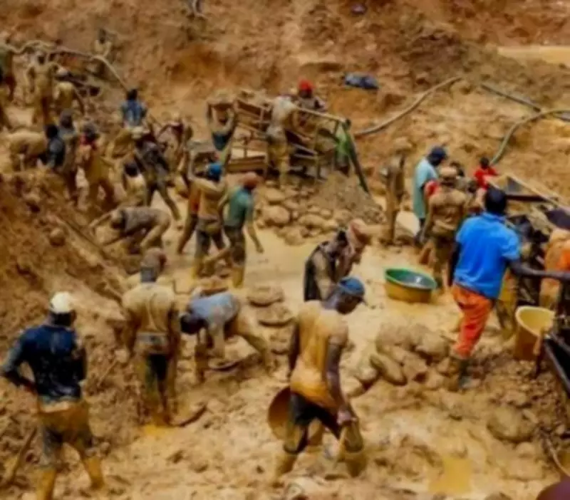 Bandits Kidnap Five Foreign Nationals at Zamfara Gold Mining Site