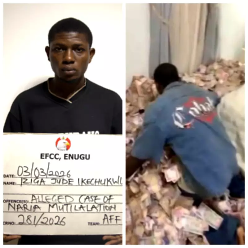 Enugu Court Jails Palm Kernel Dealer 'Easy-Money' for Naira Abuse