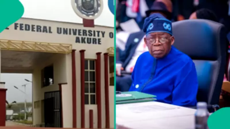 First-Class Nigerian Graduate Appeals to President Tinubu for Job Opportunities