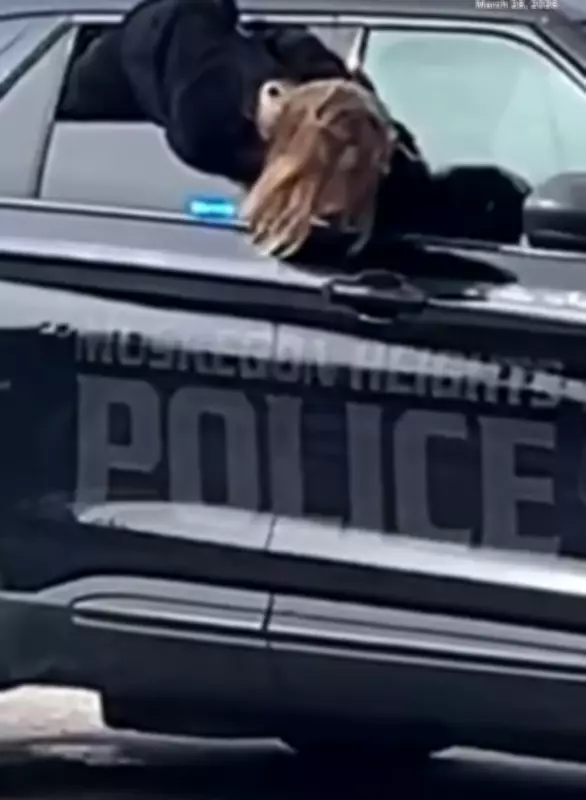 Handcuffed Woman Escapes Police Custody by Wriggling Out of Patrol Car Window