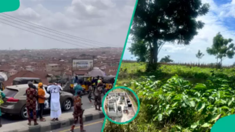 Ibadan's Population Boom Strains Biodiversity Amid Housing Crisis