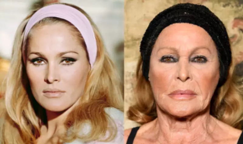 Italy Seizes €20M in Assets Allegedly Stolen from Bond Star Ursula Andress