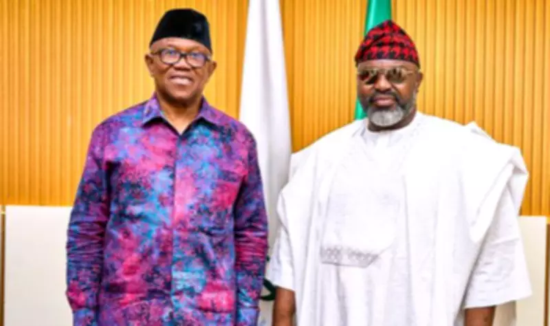 Kaduna Cleric Denies DSS Arrest After Peter Obi Visit, Says He Was Only Invited