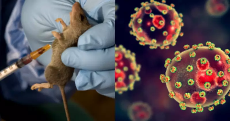 Lassa Fever Outbreak Intensifies: Death Toll Reaches 109, Healthcare Workers at Risk