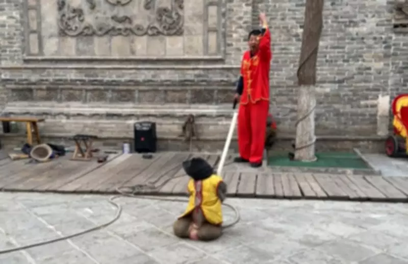 Monkey 'Execution' Show in China Sparks Outrage Over Animal Abuse Allegations