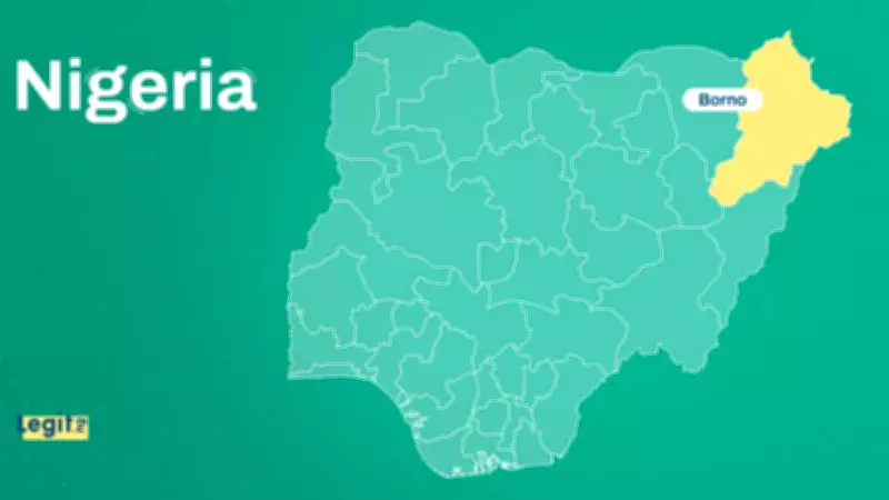 Multiple Explosions Rock Maiduguri After Ramadan Fast, Boko Haram Suspected