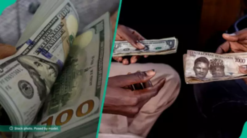 Naira Rebounds Against Dollar as CBN Resumes FX Sales, Gains N25 in Official Market