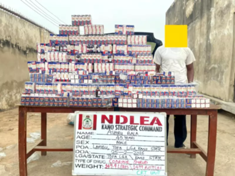 NDLEA Arrests Suspect with 1,499 Codeine Syrup Bottles in Kano Operation