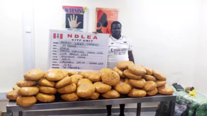 NDLEA Busts Major Drug Syndicates, Intercepts Cocaine in Stockfish Heads