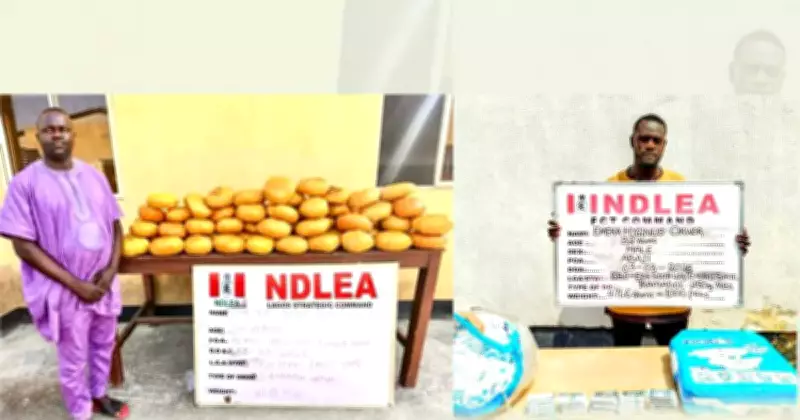 NDLEA's Nationwide Crackdown: Ex-Councillor, Others Arrested in Major Drug Busts