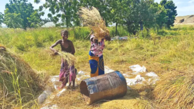 Nigeria and Five African Nations Secure €5 Million Grant for Climate-Smart Agriculture