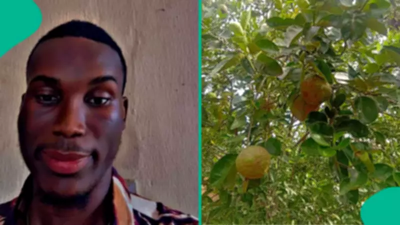 Nigerian Man's Heartbreak After Planting 'Orange' Seed During Lockdown