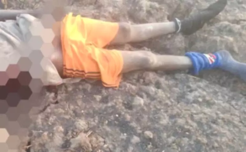 Nigerian Special Forces Repel Terrorist Ambush in Sambisa Forest, Seize Weapons