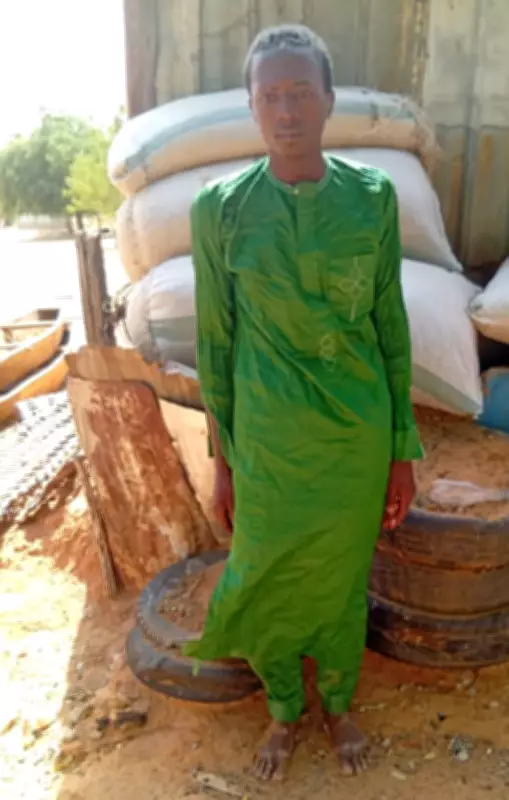 Nigerian Troops Arrest Suspected ISWAP Spy in Yobe State Operation