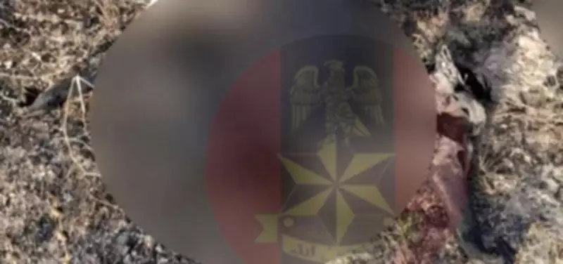 Nigerian Troops Foil Coordinated ISWAP Attacks, Kill Commander and 19 Insurgents in Yobe