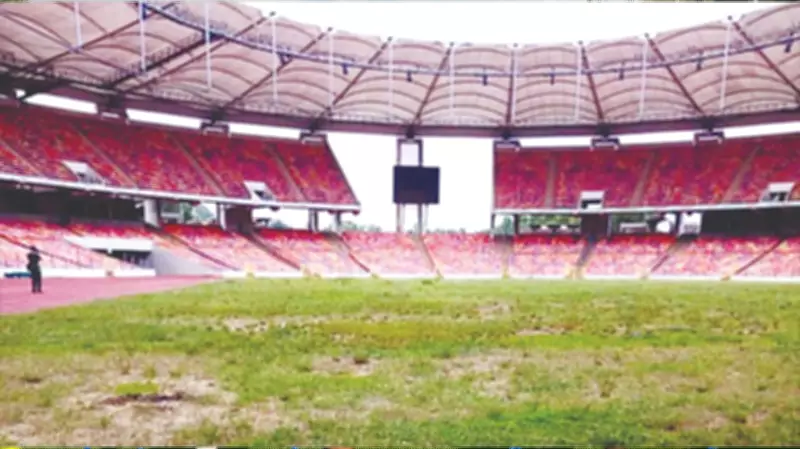 Nigeria's Football Crisis: Dearth of Standard Pitches Hinders National Game