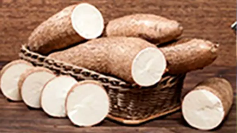 Nigeria's Path to Dominating the Ethanol Market Through Cassava Production
