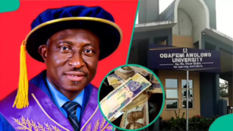 OAU Publishes Official Salary Scales for Lecturers, Professors, and Graduate Assistants